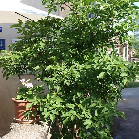 Apartment Krnica N43 Eksteriør bilde